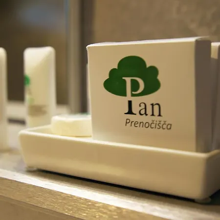 Pan Prenocisca פטוי